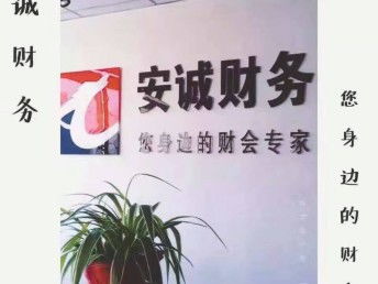 嘉兴工商注册与代理记账服务 安诚向芳芳会计专业解析