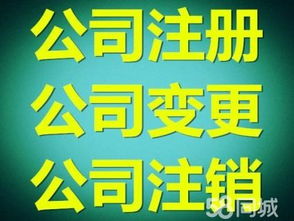 企业服务全攻略 从公司注册到记账报税的一站式指南